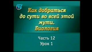 Биология для чайников. Урок 1. Как представить себе биологию?