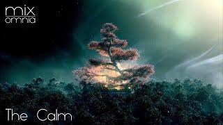 The Calm - Chillstep Mix