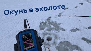 Окунь в эхолоте Практик. Пестовское водохранилище