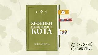 «Хроники странствующего кота» Х. Арикавы: судьбоносная дружба кота и его человека