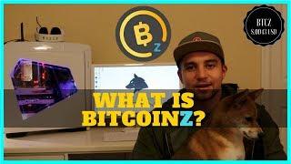 What is BitcoinZ? + Mining Profitability & GUI BTCZ Swing Wallet