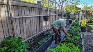 Finally a garden tour with full recap when it all started