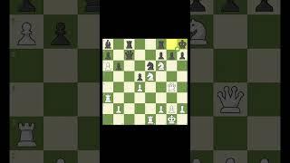 Rossolimo Brillancy #chess #chesscom #gothamchess