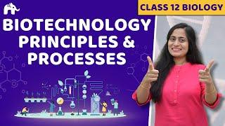 Biotechnology:Principles & Processes Class 12 Biology| NCERT Chapter 11 | CBSE NEET