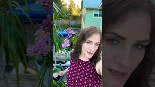 #funny my exotic plant tour. #shorts #plants