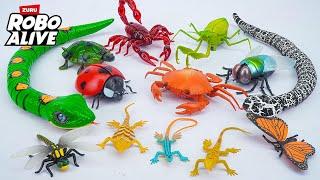 [toy asmr] ZURU Robo Alive Snakes & Robo Alive Robotic Insects Collection Set ASMR  Review Toys