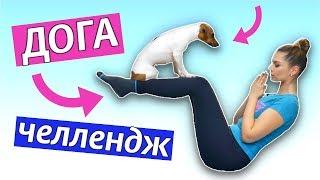 ДОГА ЧЕЛЛЕНДЖ  | ЙОГА С СОБАКОЙ | Doga challenge