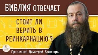 Стоит ли верить в реинкарнацию ? Протоиерей Димитрий Беженарь