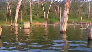 Fishing 101: Freshwater Fishing in Texas