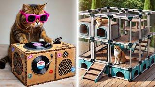 11 Best MUST-HAVE Gifts for CATS On Amazon (cat gift guide)
