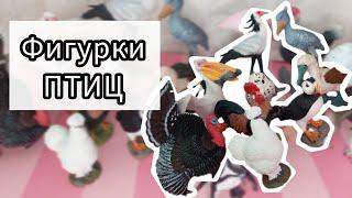 Реалистичные фигурки ПТИЦ. Schleich, papo, safari ltd, mojo, AliExpress, collecta.