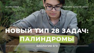 ПАЛИНДРОМЫ И ВТОРИЧНАЯ СТРУКТУРА тРНК | Рохлов | ЕГЭ 2023