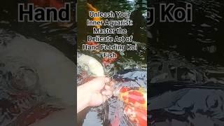 Unleash Your Inner Aquarist: Master the Delicate Art of Hand Feeding Koi Fish #koi #fish