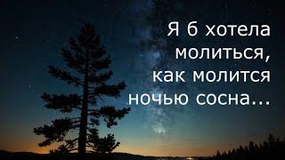 Я б хотела молиться, как молится ночью сосна – песня (со словами)