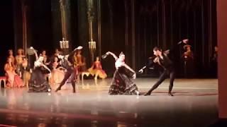 swan lake - spanish (ballet)