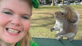 Squirrel Whisper Cynthia Beaumont is live!