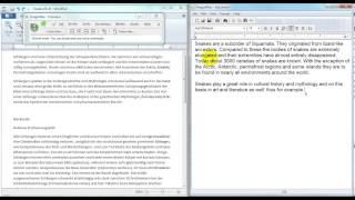 Translating with Dragon NaturallySpeaking