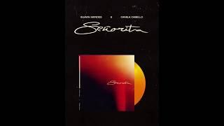 Shawn Mendes, Camila Cabello - Señorita (Official Music Video)