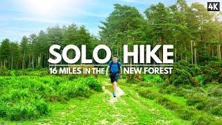 Solo Hiking 16 Miles through The New Forest, Hampshire - (4K)