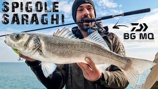 SEABASS and BREAM under the WAVES - ft. DAIWA BG MQ