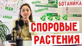 Споровые растения (мхи, хвощи, плауны, папоротники) | Биология ЦТ, ЕГЭ