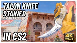  CS2 Talon Knife Stained | CS2 Knife In-Game Showcase [4K]