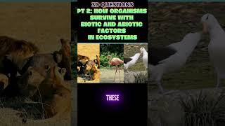 PART 2: 3-D Questions from STEAMspirations: Biotic & Abiotic Factors in Ecosystems 