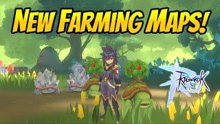 Sneak Peek: Farming the New Alberta Maps! My Upcoming Farming Strategy | Ragnarok Mobile