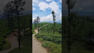 Korom viewpoint ️#travel #korom