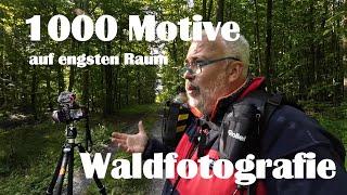 Waldfotografie | 1000 Motive auf engsten Raum sehen | und ein neuer Fotorucksack im ersten Test