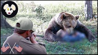Bear Attack Hunter- How Do American Farmers Hunt Millions Of Giant Bears With Hunting Dogs