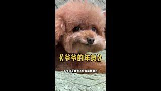 为了讨好爷爷，多多拼了！！！ #萌宠出道计划 #王多多 #斯柯达兔年盲盒 @上汽大众斯柯达