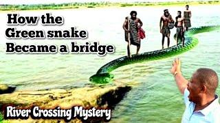 Elongated Green Snake | The Tiv Tribe River Crossing Mystery