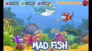 Mad Fish Game