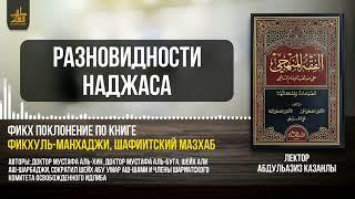 Разновидности наджаса | 9 урок | Шафиитский фикх