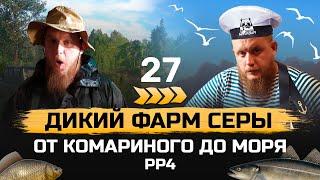 Прокачка С НУЛЯ ● От КОМАРИНОГО до МОРЯ ● 27 серия. Челлендж ● Русская Рыбалка 4