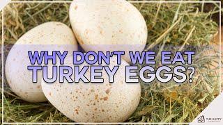 Why Don’t We Eat Turkey Eggs!