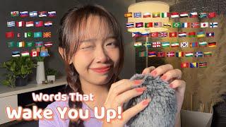 ASMR Words That Wake You Up! in 70 Different Languages (2 hours for sleep)