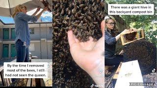 SHE SAVES BEES  | Texasbeeworks  Tik Tok |