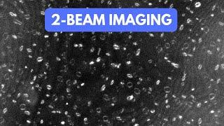 FEI Tecnai F20 S/TEM: 2-beam imaging