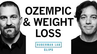 Ozempic, Mounjaro & GPL-1 Agonists for Weight Loss | Dr. Zachary Knight & Dr. Andrew Huberman