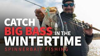 Catch BIG Bass in the Wintertime! Spinnerbait Fishing!