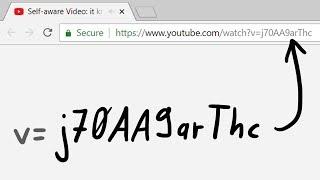 Self-aware Video: it knows its own YouTube Video ID?