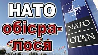 Чому ти не на фронті? — Відповідь українця