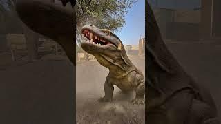 What did the monkey put into the Komodo dragon’s mouth?