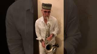 Опять метель sax cover