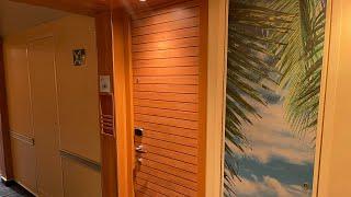 CARNIVAL HORIZON DELUXE OCEAN VIEW CABIN TOUR