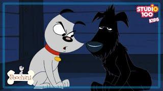 STRAY DOG - E12 - POOCHINI - Studio100 KIDS - KIDS cartoons️