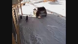 УБИЙСТВО СОБАКИ НА СЛУЖБЕ!!!