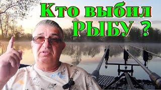 Кто выбил рыбу ?